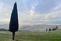 IMG_1947