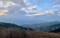 IMG_1945