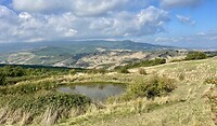 IMG_1877