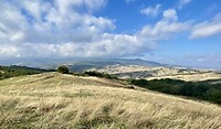 IMG_1873
