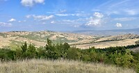 IMG_1867