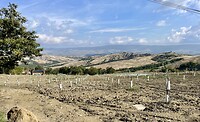 IMG_1863