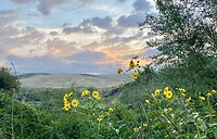 IMG_1847