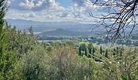 IMG_1835