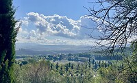 IMG_1833
