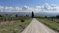 IMG_1832