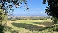 IMG_1822