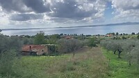 IMG_1992