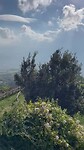 IMG_1918