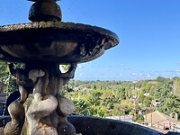 IMG_2137