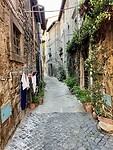 IMG_2175