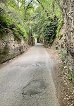 IMG_2184