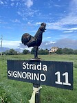 IMG_2192