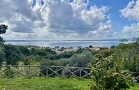 IMG_1993