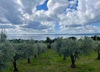 IMG_1990
