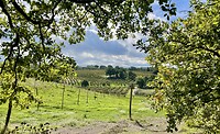 IMG_2198