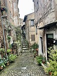 IMG_2235
