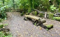 IMG_2237