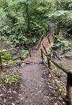 IMG_2240