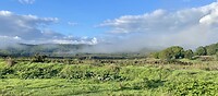IMG_2271