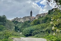 IMG_2282