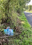 IMG_2280