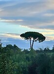 IMG_2300
