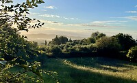 IMG_2301
