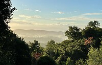 IMG_2304