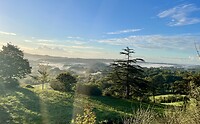 IMG_2307