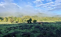 IMG_2316