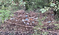 IMG_2319