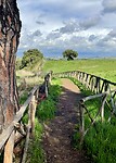IMG_2338