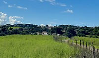 IMG_2341