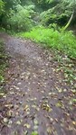 Regen ih bos