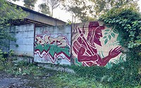 IMG_2358