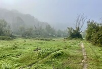 IMG_2359