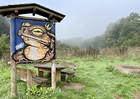 IMG_2360