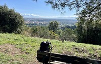 IMG_2362