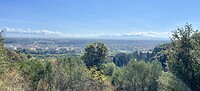 IMG_2364