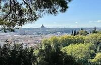 IMG_2369