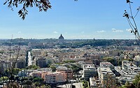 IMG_2371