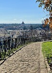 IMG_2373