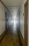 IMG_1384