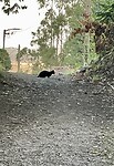 IMG_1508