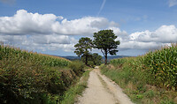 DSC00157