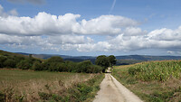 DSC00156