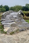 IMG_1471