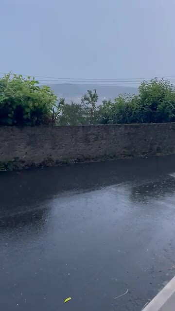 Regen