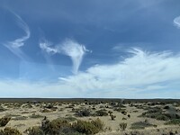 Uitzicht over de pampa tijdens busrit